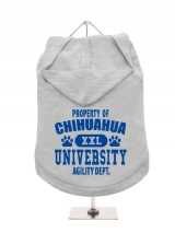 ''Property Of Chihuahua University'' Dog Hoodie / T-Shirts