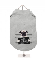''Police Mugshot - Pug'' Harness-Lined Dog T-Shirt
