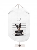 ''Police Mugshot - Boston Terrier'' Harness-Lined Dog T-Shirt