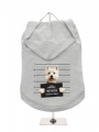 Dog Hoodie / T-Shirt